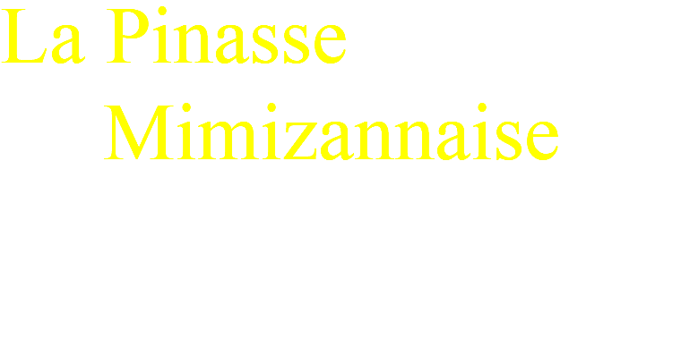 La Pinasse Mimizannaise